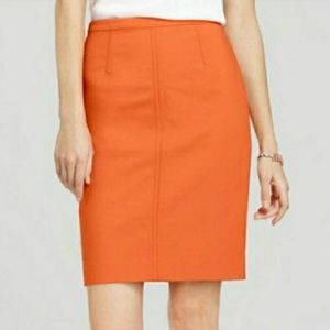 Ann Taylor skirt